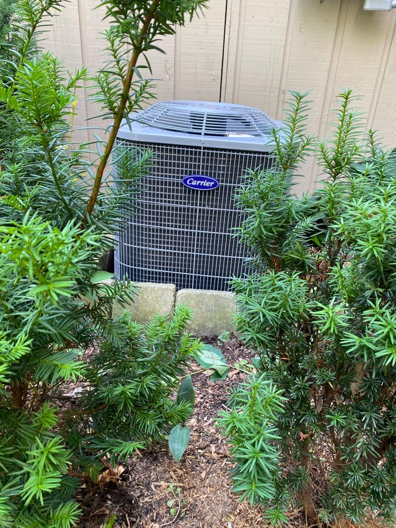 Carrier air conditioner and furnace replacement installation