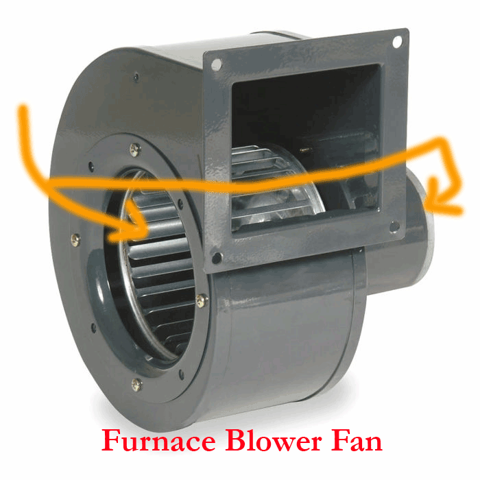 Furnace Blower Fan